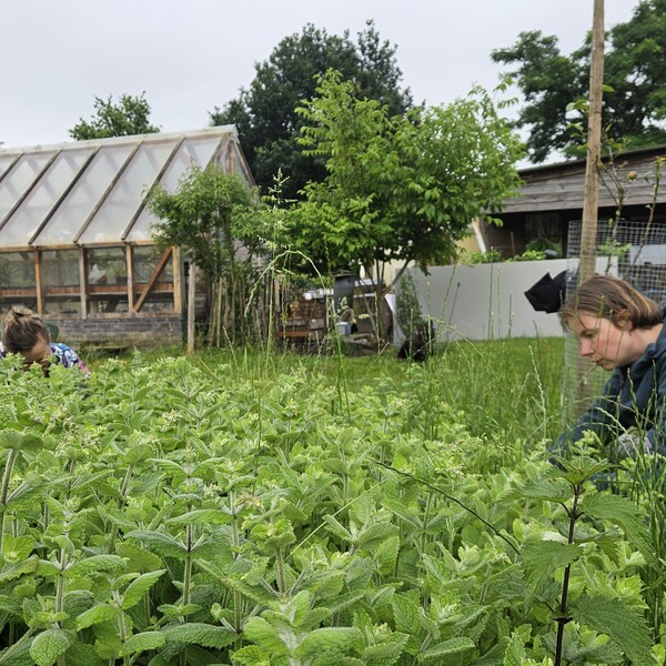 Onze groene missie met een wit randje 